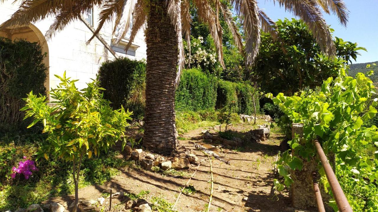 فيلا Casal Dos Zimbros Corticos المظهر الخارجي الصورة